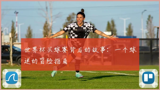 世界杯买球赛背后的故事:一个球迷的冒险指南