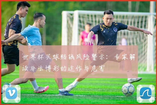 世界杯买球赔钱风险警示：专家解读非法博彩的运作与危害